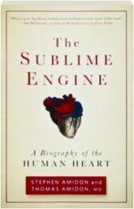 The Sublime Engine